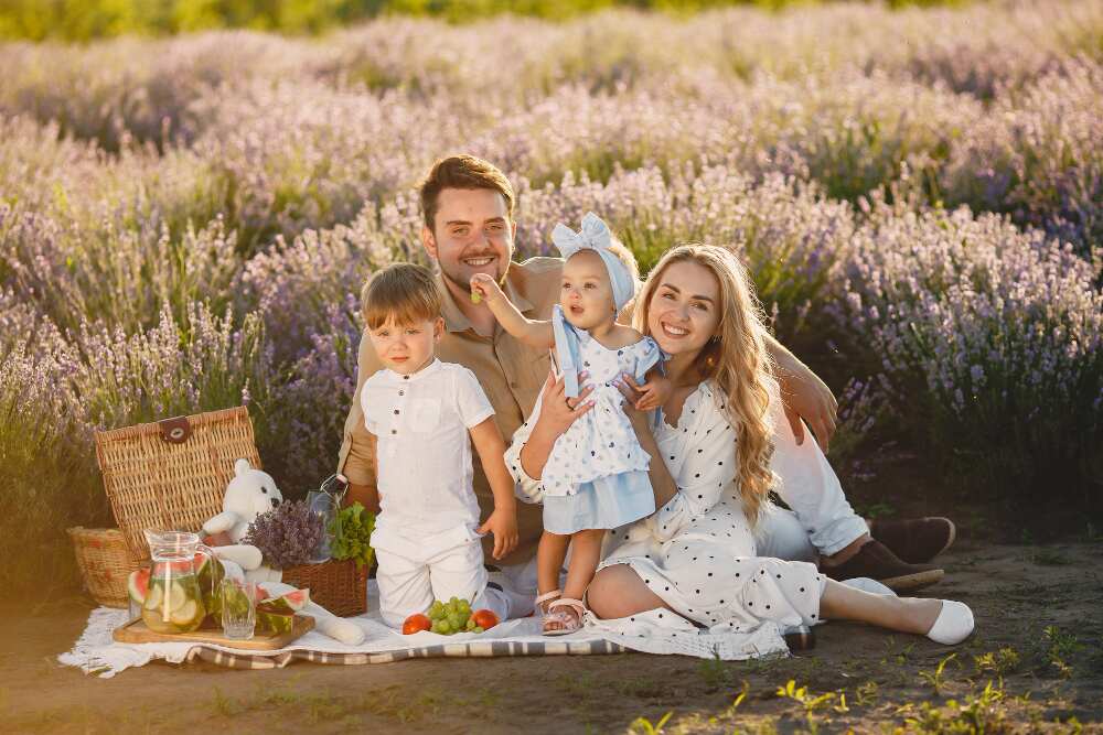 Family lavender field people picnic